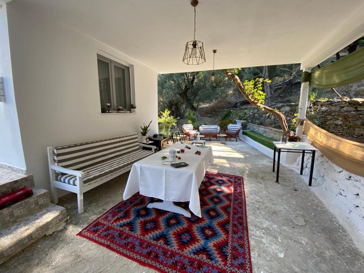 House With Beautiful Garden In Plomariアパートメント エクステリア 写真