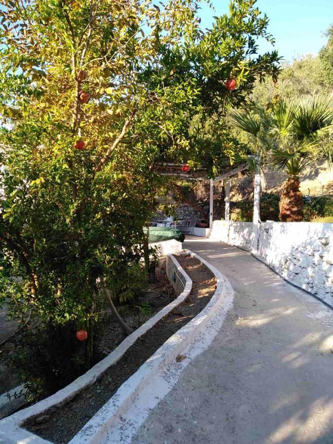 House With Beautiful Garden In Plomariアパートメント エクステリア 写真